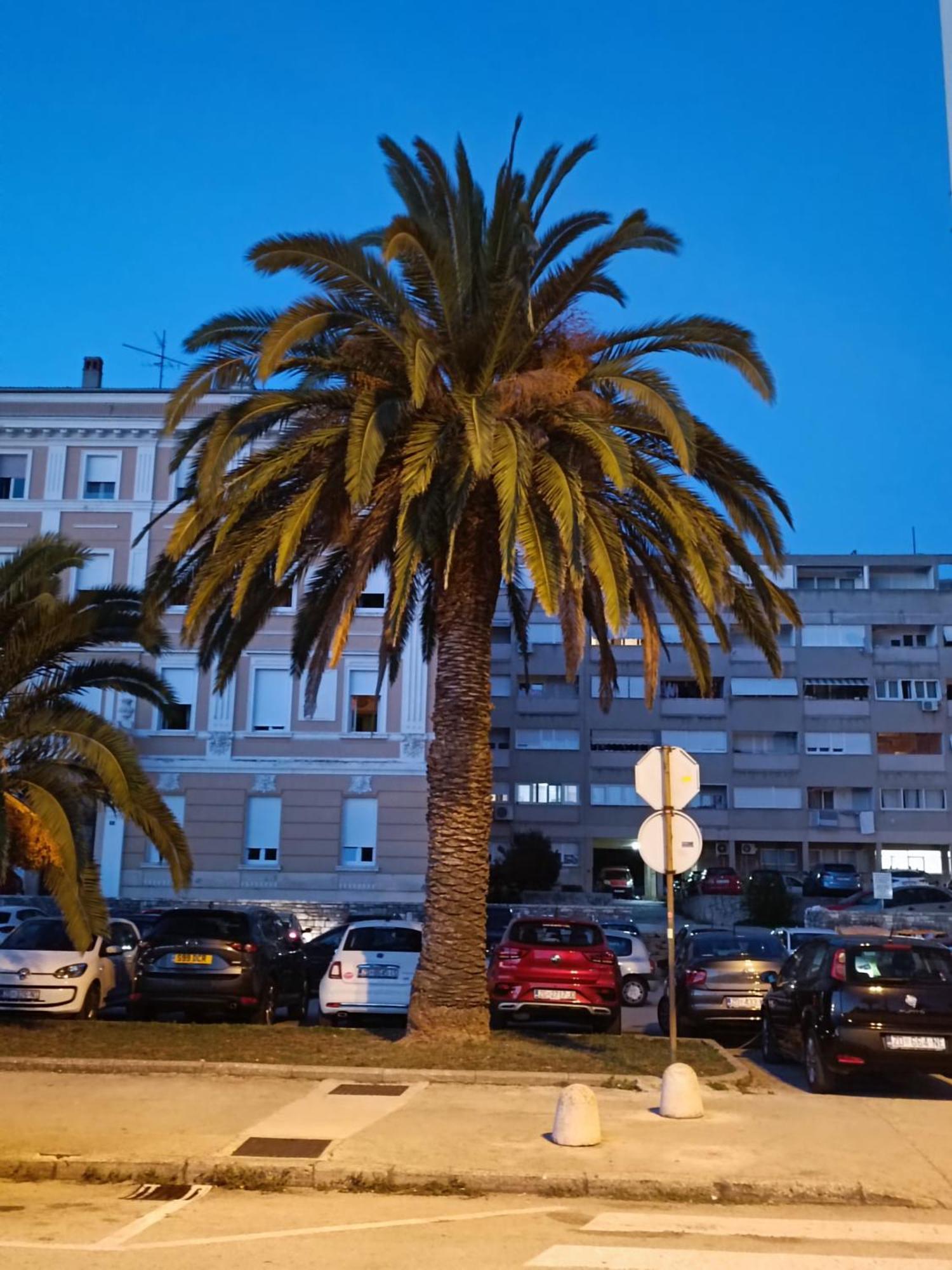 Zadar Beach Apartments المظهر الخارجي الصورة